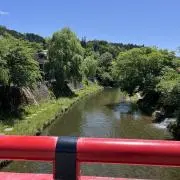 Cattleya※7/1〜7発送不可の画像