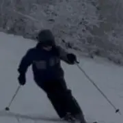 takeの画像
