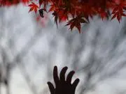 ganpoの画像