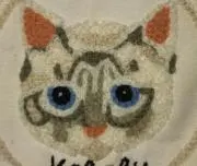 ポケポケの画像