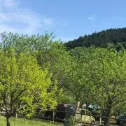 ❁プロフ必読の画像