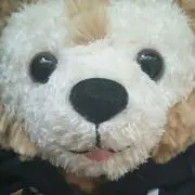 あーちゃんの画像