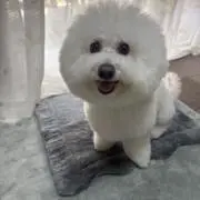 まゆ
