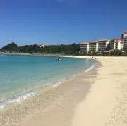 Rの画像