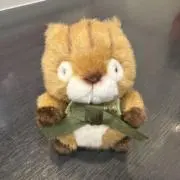 ナウリーの画像