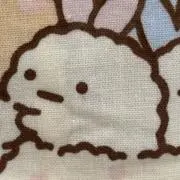 エビ海老の画像