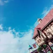 yの画像
