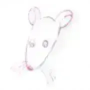 SAKU✴︎の画像