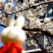 むーみん【まとめ買い歓迎☆】の画像