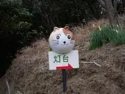 ron7514の画像