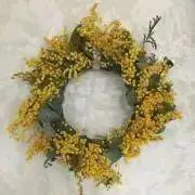 Ivoryの画像