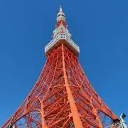 たわー