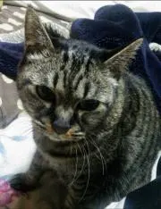a5555555550の画像