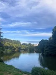リオです　プロフの画像