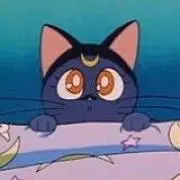 きちの画像