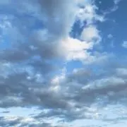 りおの画像
