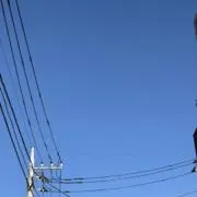 Fujiの画像
