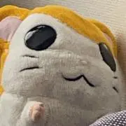 はむの画像