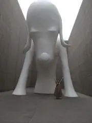 ニコの画像