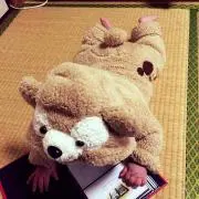 あゆんちゃん