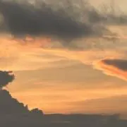 るいるいの画像