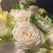KEIKO⭐︎即購入可⭐︎