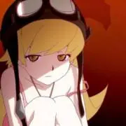 ぬぬの画像