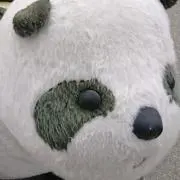 ☆プロフ確認お願いします☆の画像
