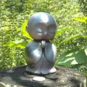 サキネコの画像