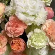 和旨の画像