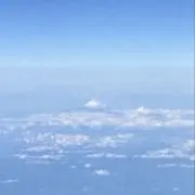 Ｐ-nutsの画像