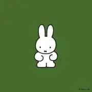 oyoyoの画像