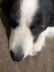 あ～ちゃんの画像