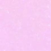 stellaの画像