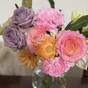 Sugarの画像