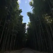 ラララの画像