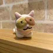 とこまとこの画像