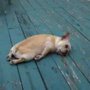 りくと