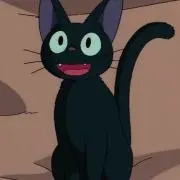 ayajkoa