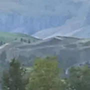Soyoの画像