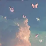 Yの画像