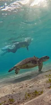 Mahalo☆プロフ必読☆の画像