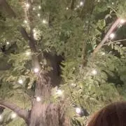 Hinaの画像