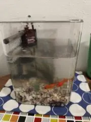 BREEZEの画像