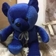 カナカナの画像