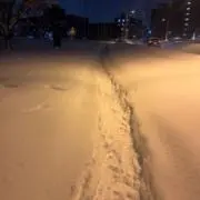 きたぐにの画像