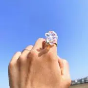gasagasaの画像