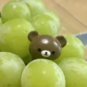 田井バラ園の画像