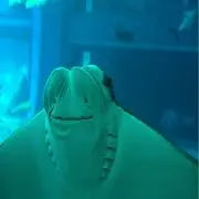 ゆら
