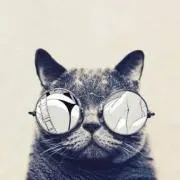 アルストロメリアの画像